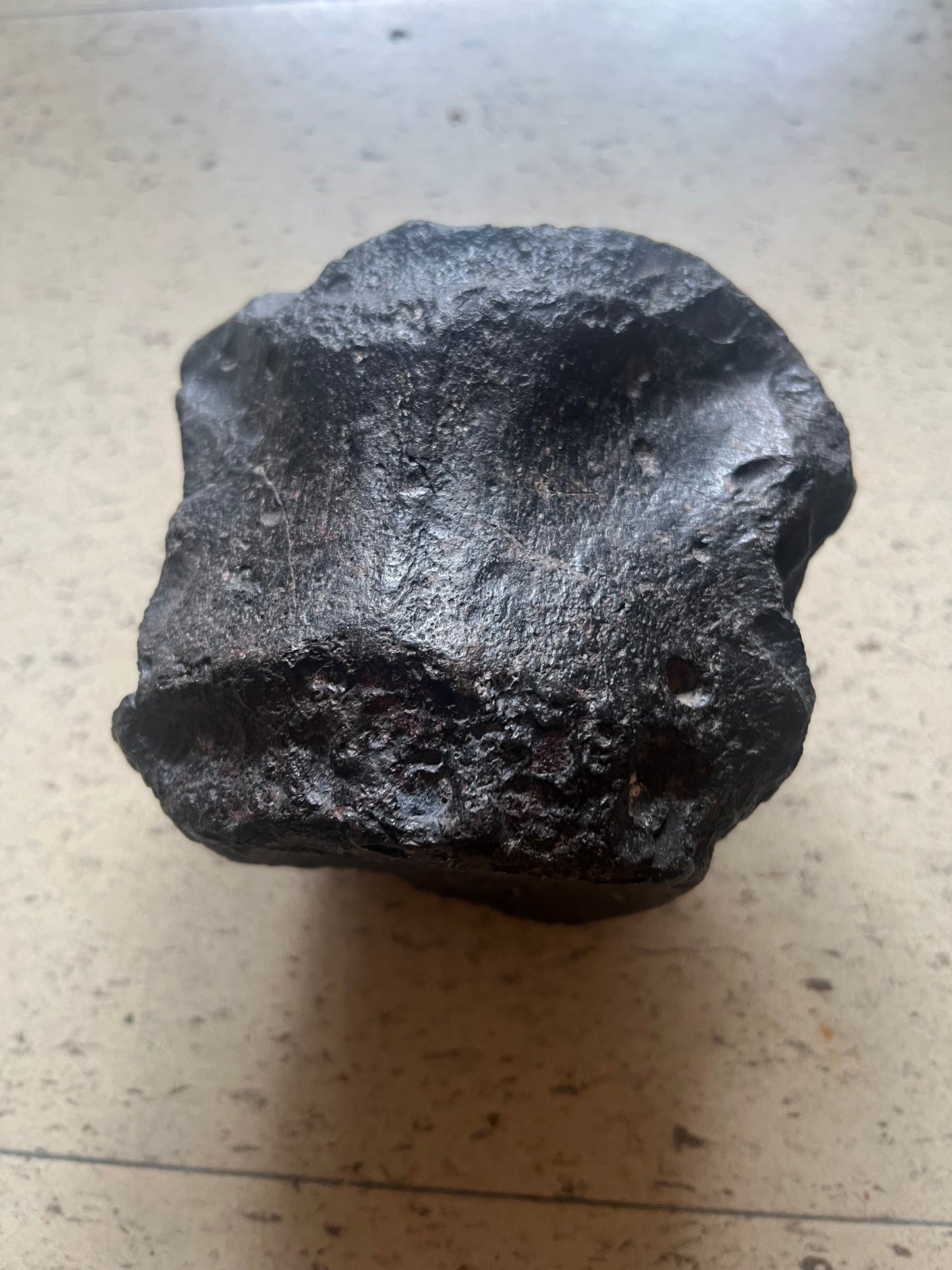 Velocirapto Vertebra Tail bone  72 to 89 Million Years old Alpha+